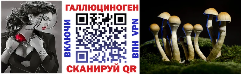 Галлюциногенные грибы GOLDEN TEACHER  Пестово 