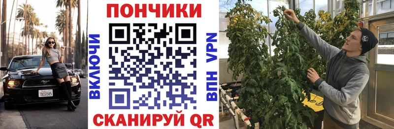 Конопля конопля  сайты даркнета какой сайт  Пестово 